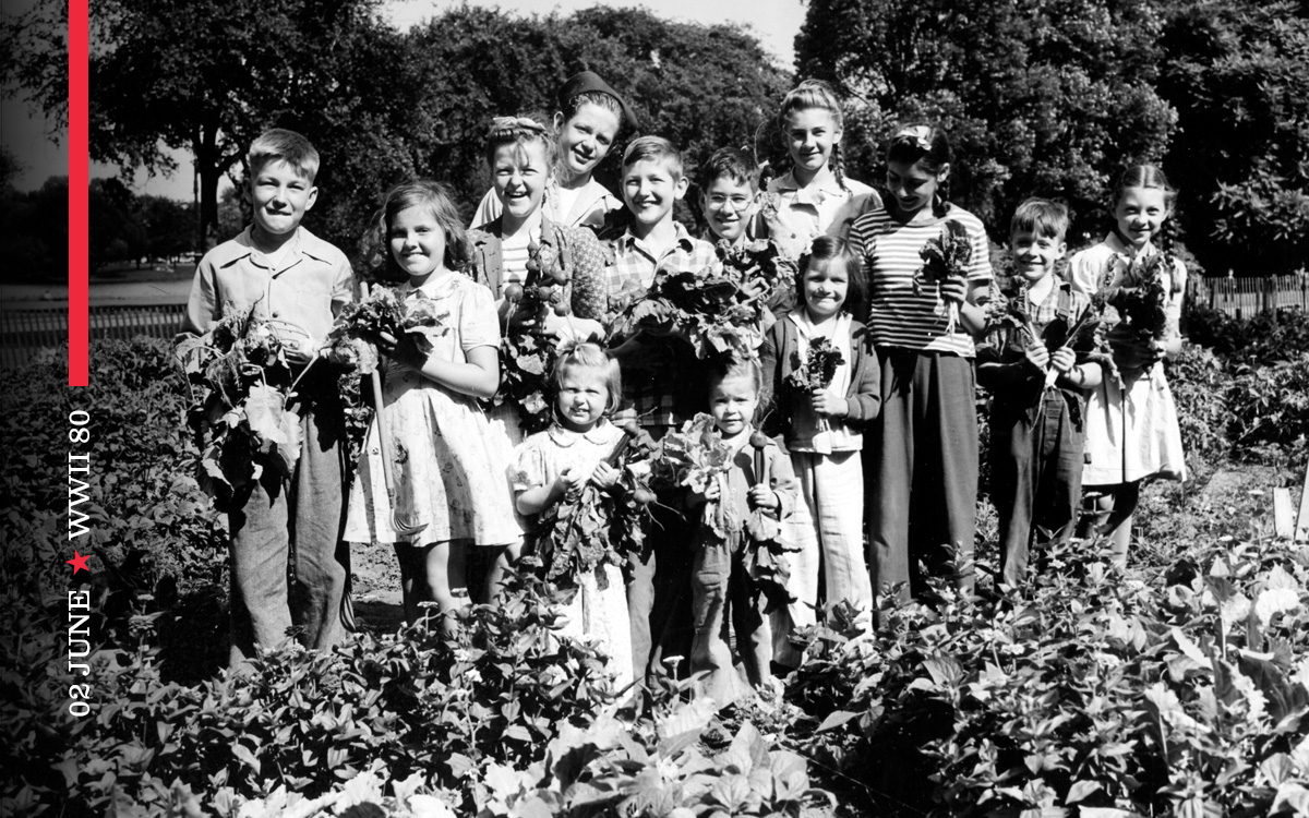 WWII 80: Victory Gardens